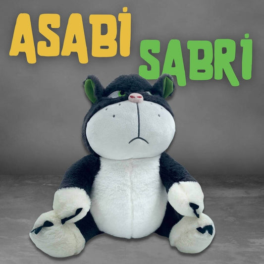 Asabi Sabri